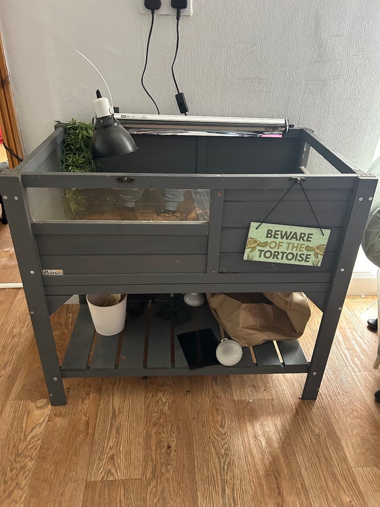 image for Tortoise table with extras 