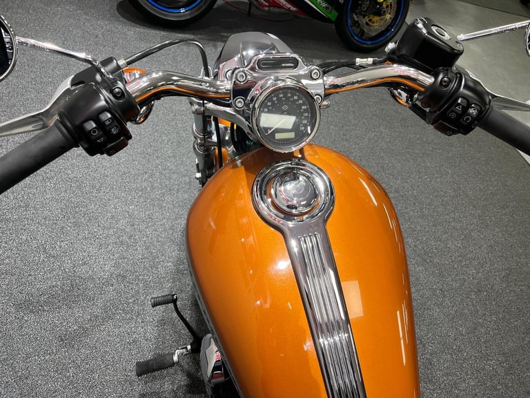 Harley-Davidson 1200 Custom Sportster Limited Edition, 2017