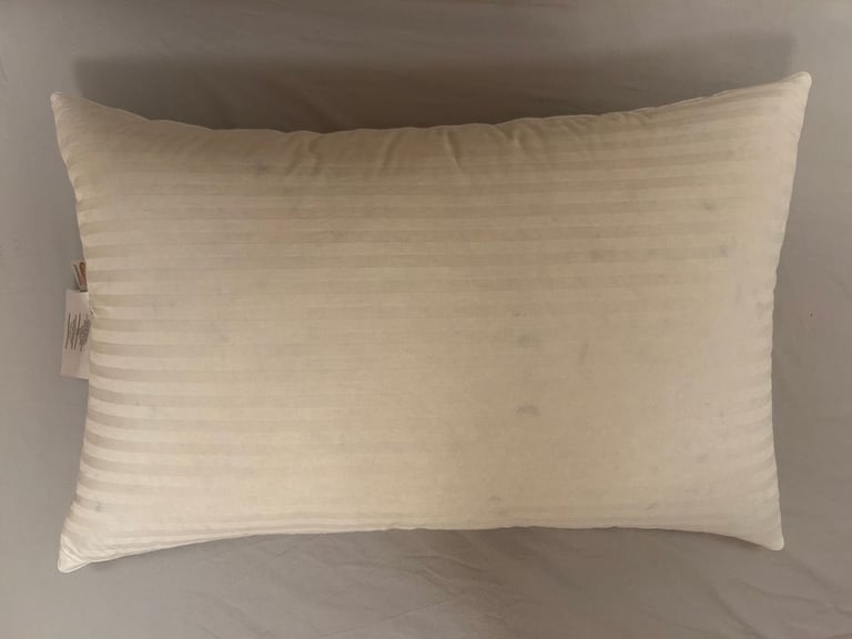 John Lewis Natural Collection Hungarian Goose Down Standard Pillow, Firm (5)