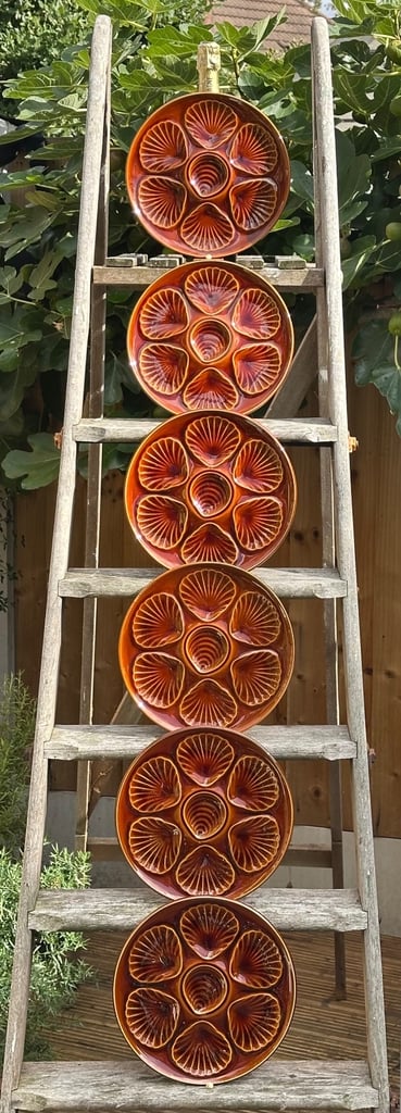 image for SET OF SIX VINTAGE FRENCH OYSTER PLATES, PLATTERS, 24.5cm - MID CENTURY MAJOLICA - WILL POST!