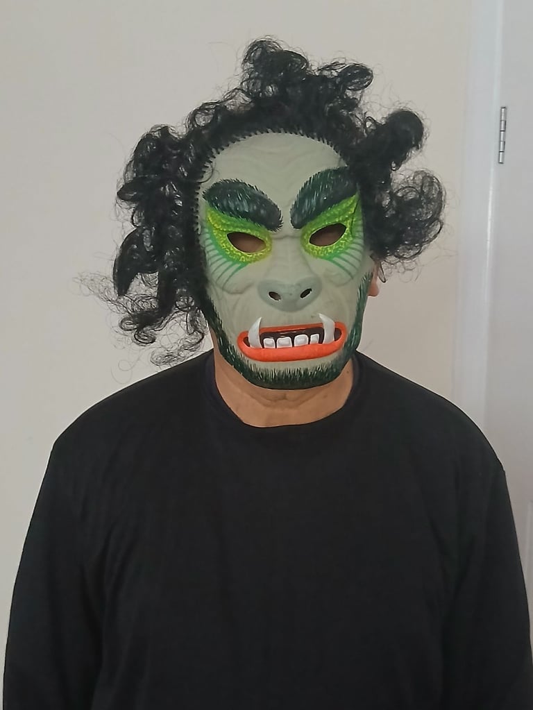 Halloween fancy dress masks
