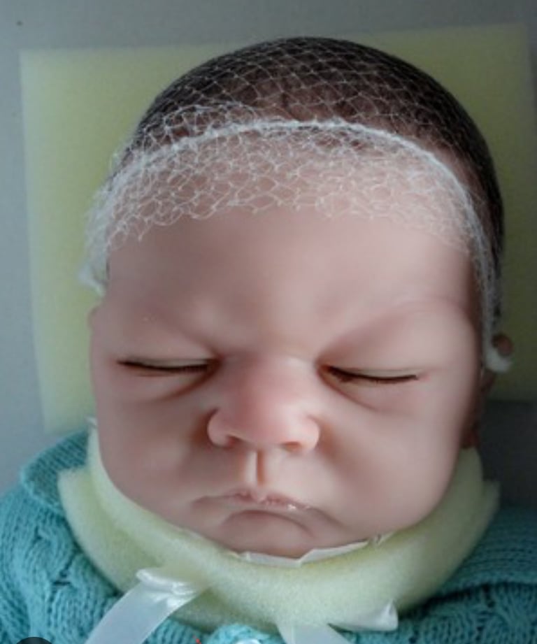 Ashton drake welcome home baby alex