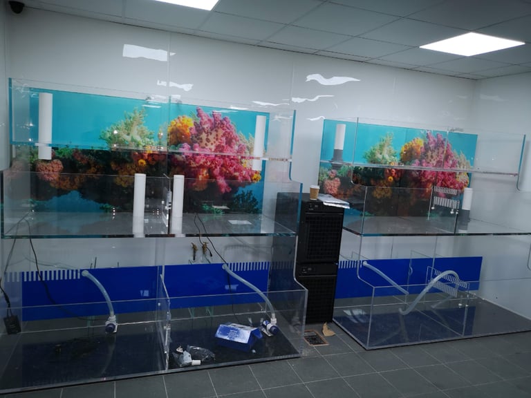 All Glass Fish Tanks Made To Measure, Lowest Prices Possible