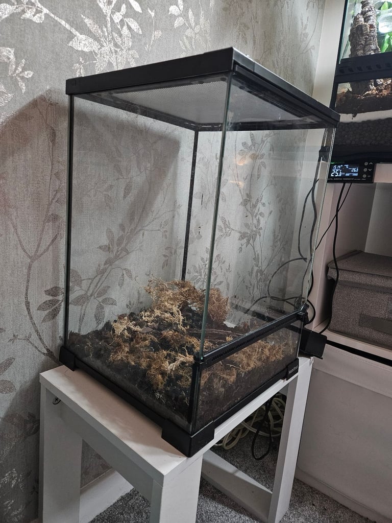 Habistat 30 x 30 x 45 terrarium