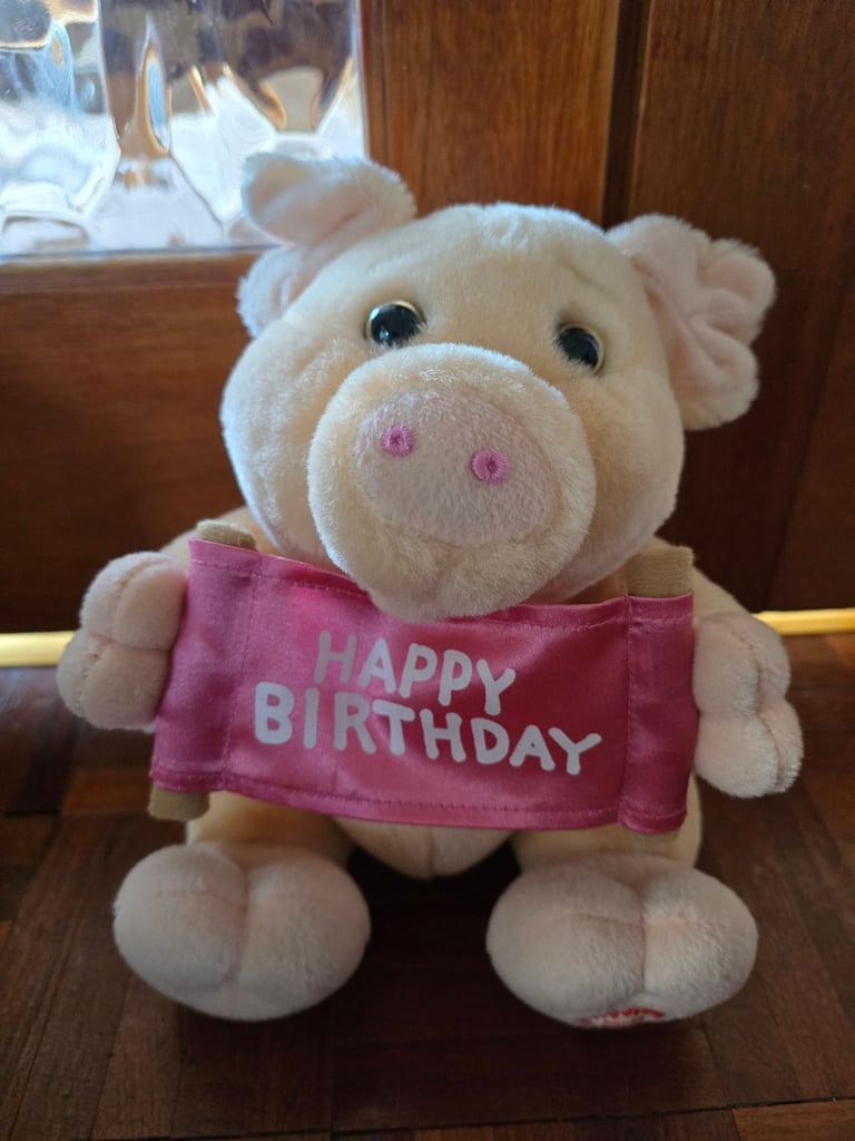 Singing musical birthday pig plush toy with box collection Salhouse 