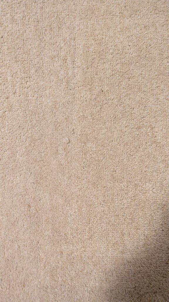 image for Beige/Cream carpet