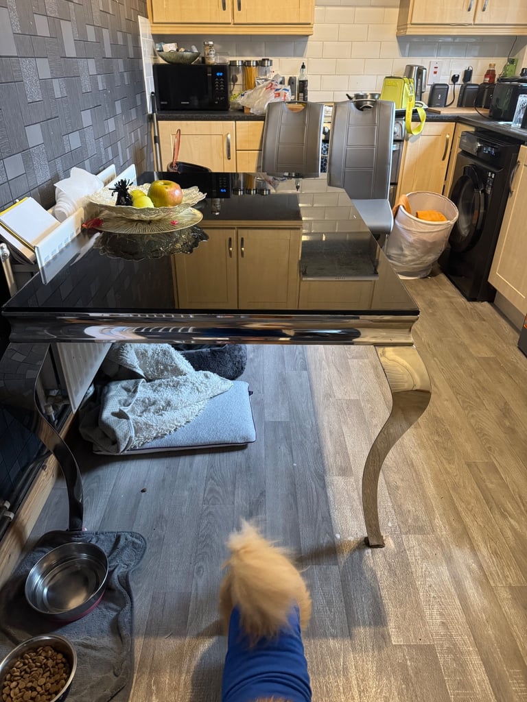 Black Tempered glass dining table