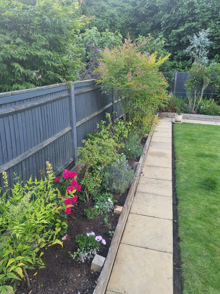 Fencing,Gardens,Paving,Concrete,plaster boards,skiming,Paint