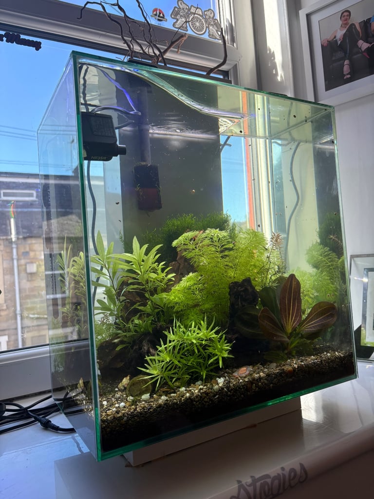 image for Fluvel Edge 46l fish tank 