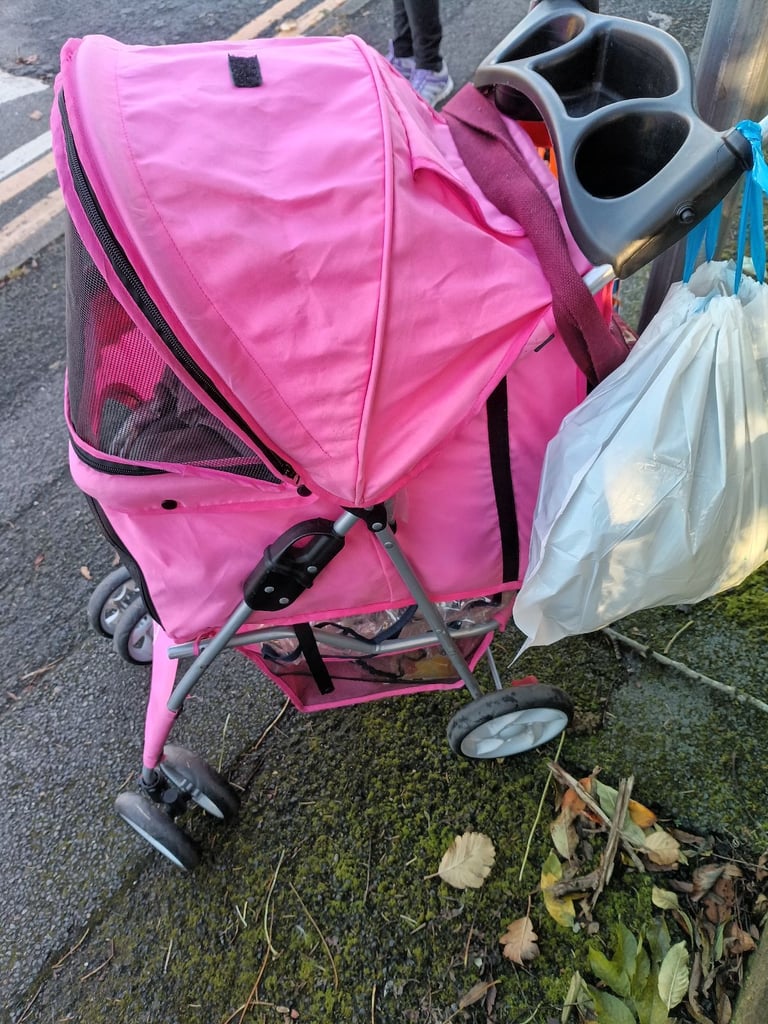 Dog pram