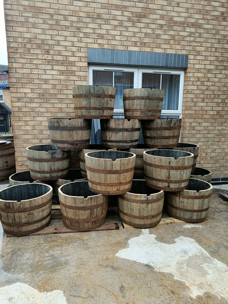 Oak barrel planters £25 each 