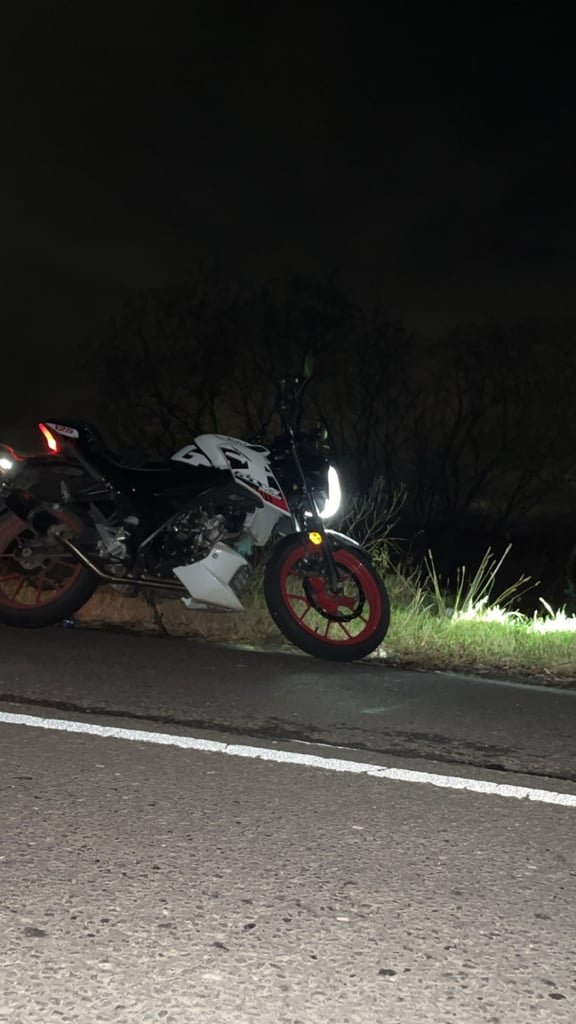 Suzuki, GSX-S, 2024, 124 (cc)