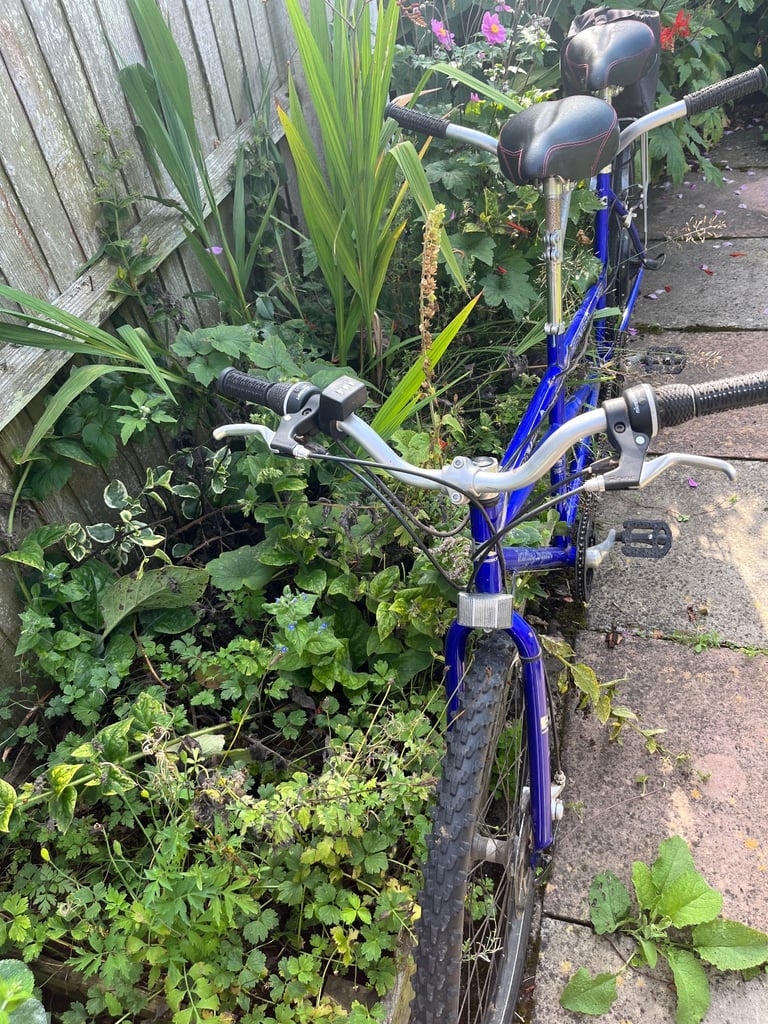 Electric tandem