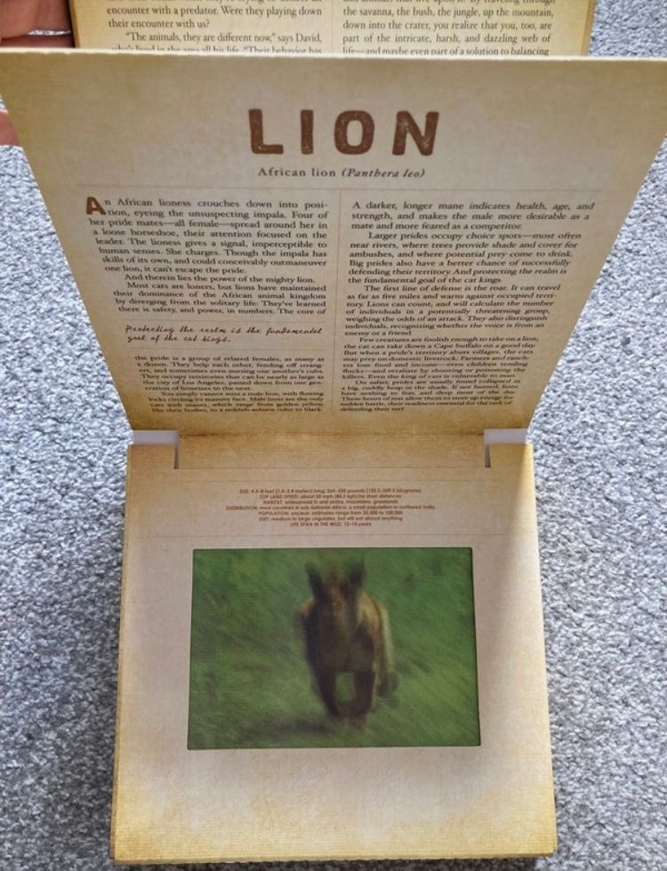 Safari-A photicular book📕 