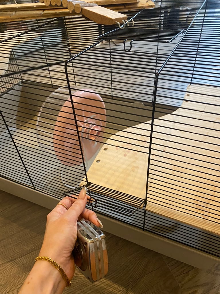 Hamster Cage