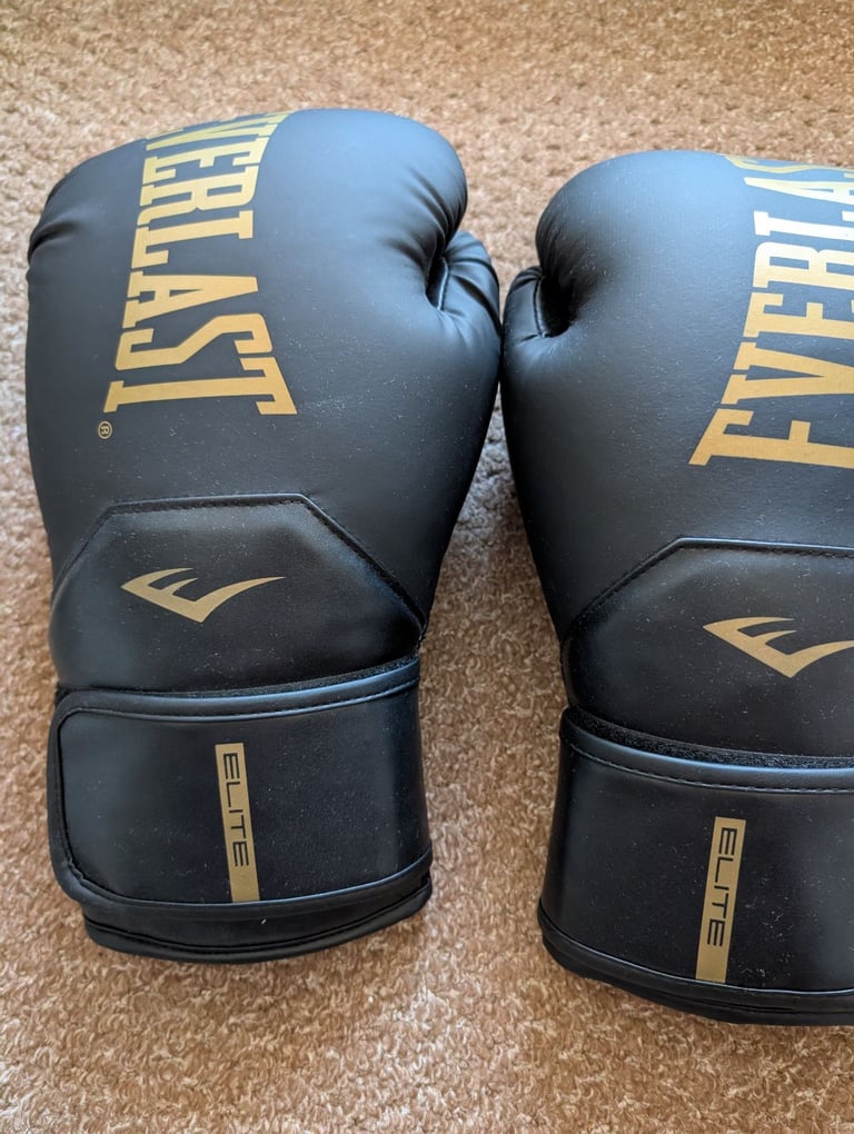 Everlast Protex Everlast Bronx Boxing Gloves Everlast Boxing