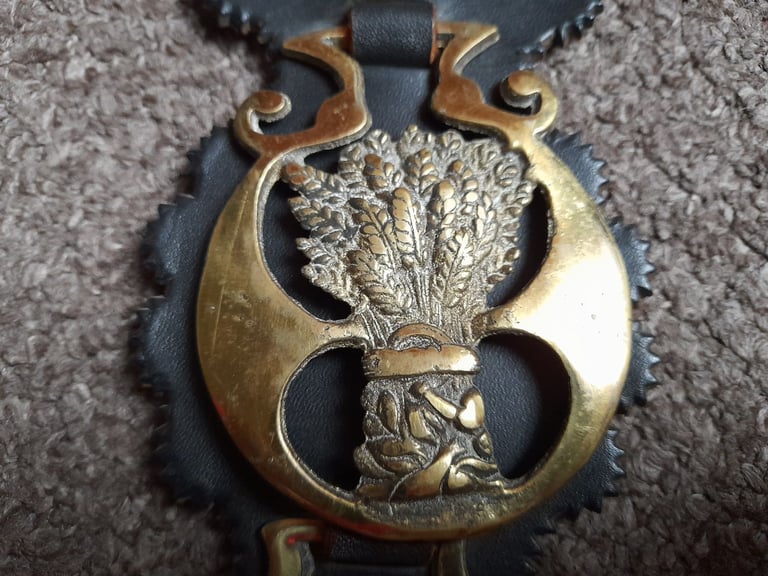 5 Vintage & Antique Brass Horse medallions on leather strap - bridle decoration