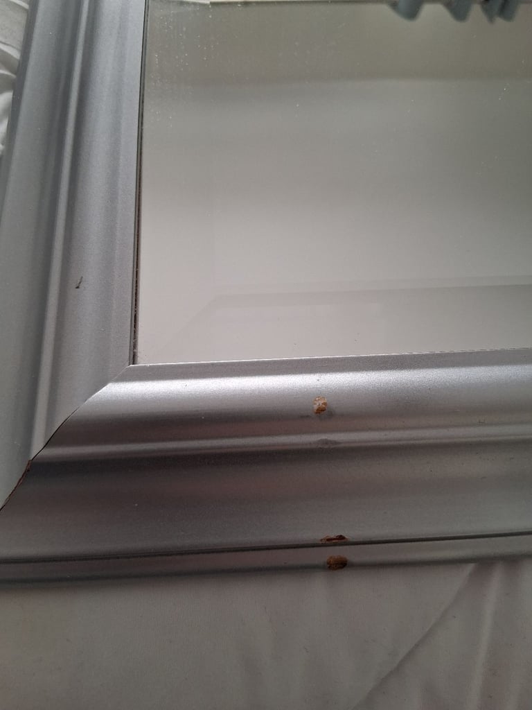 Large Bevel Edge Wall Mirror