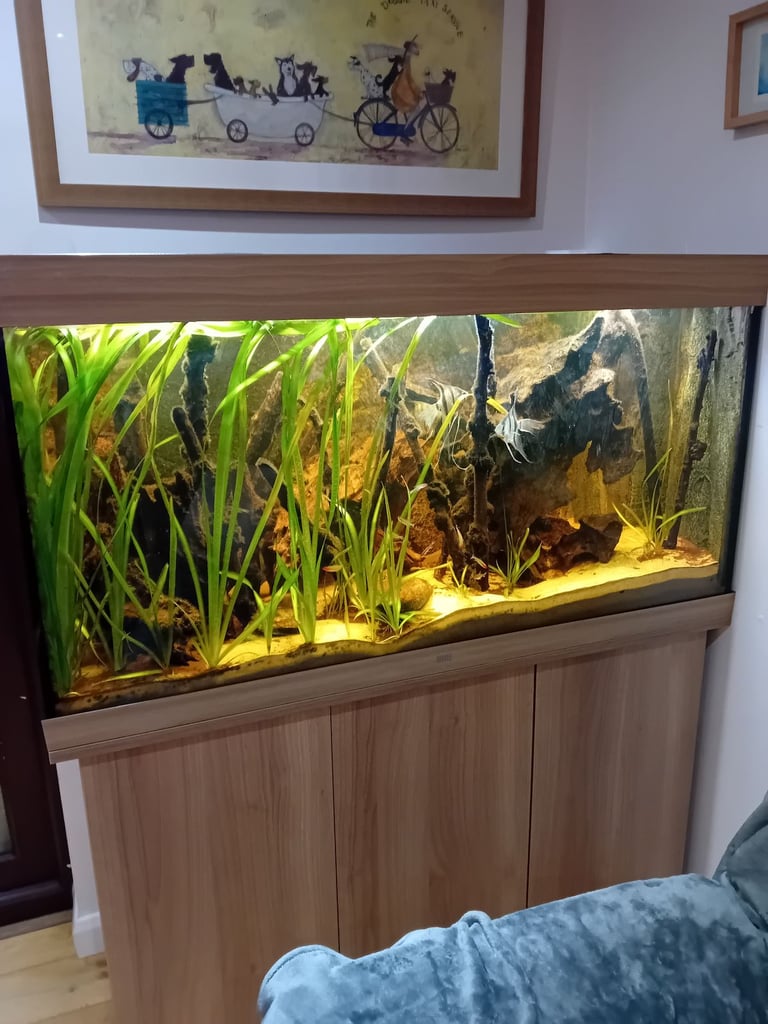 image for Aquarium for sale.