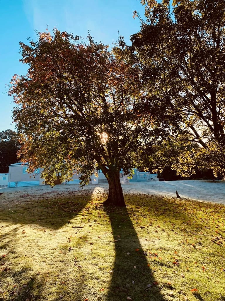 Fantastic Pre-Loved Holiday Home with UPVC Decking 