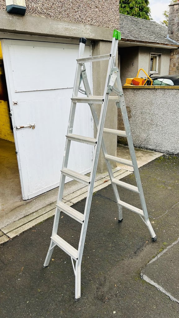 Metal ladder