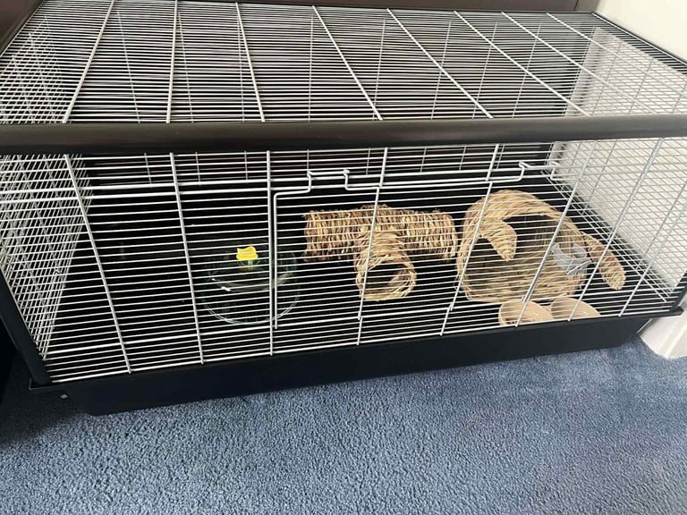 Month old big savic 100cm hamster cage only cage no extra was 80 no offer 