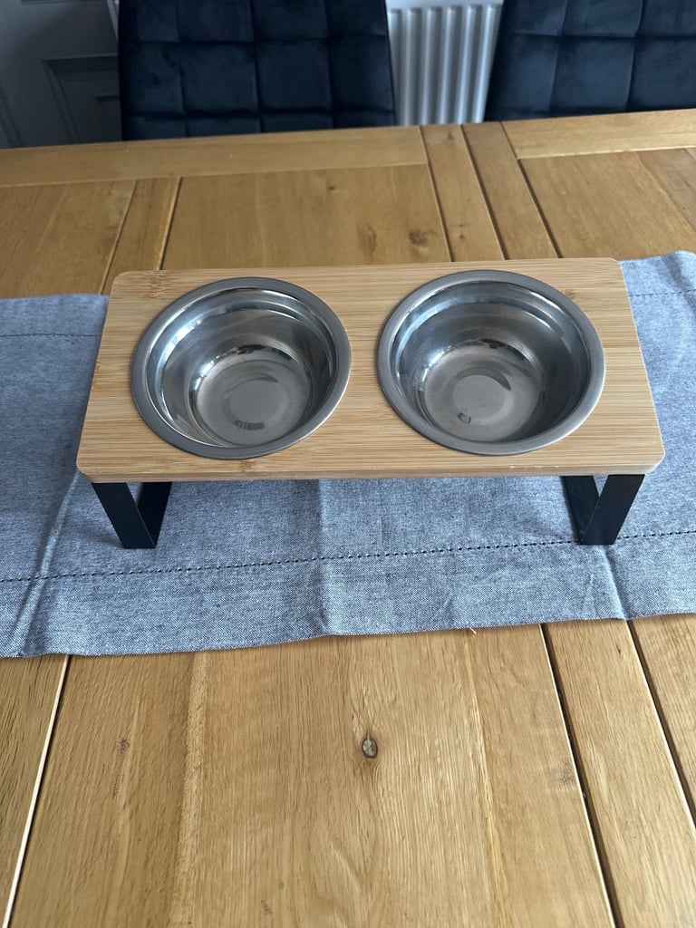 Raised double bowl feeder