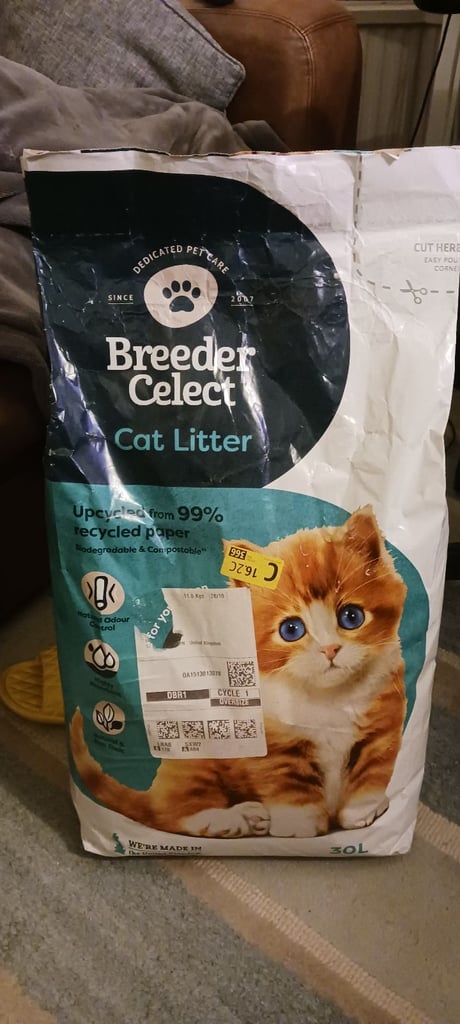 Cat Litter 