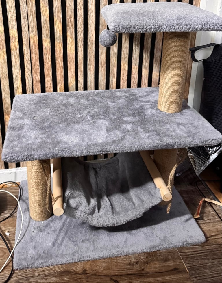 image for Cat scratch post 