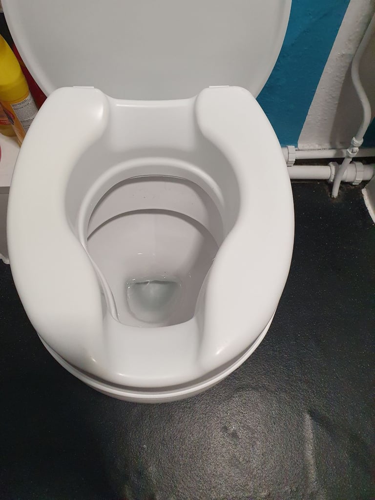 Disabled people toilet seat