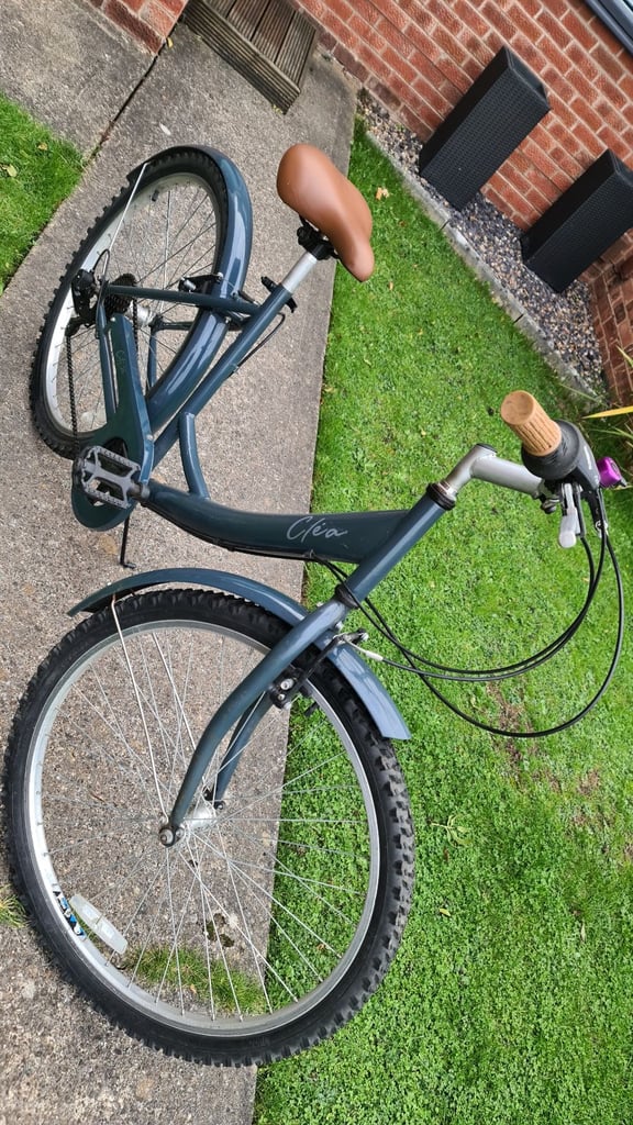 image for Ladys bicycle 