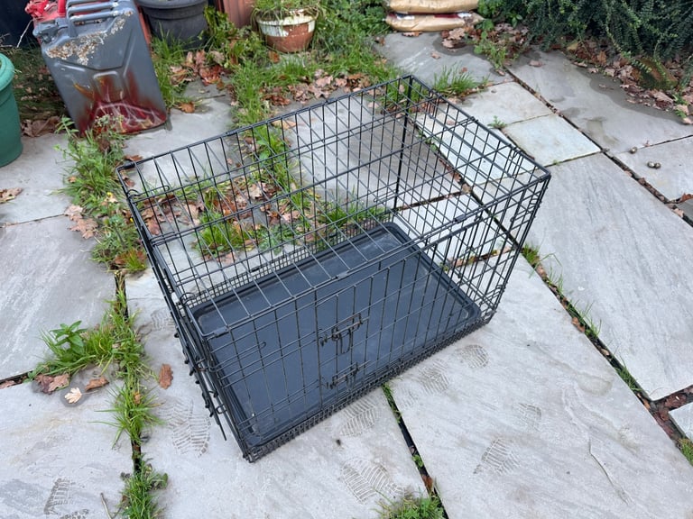 Medium dog crate 