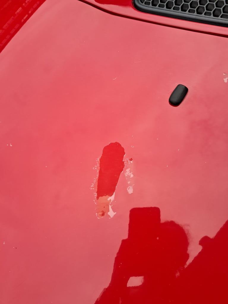 Mini One, Hatchback, 2005, Manual, 1598 (cc),3 doors - Image 4