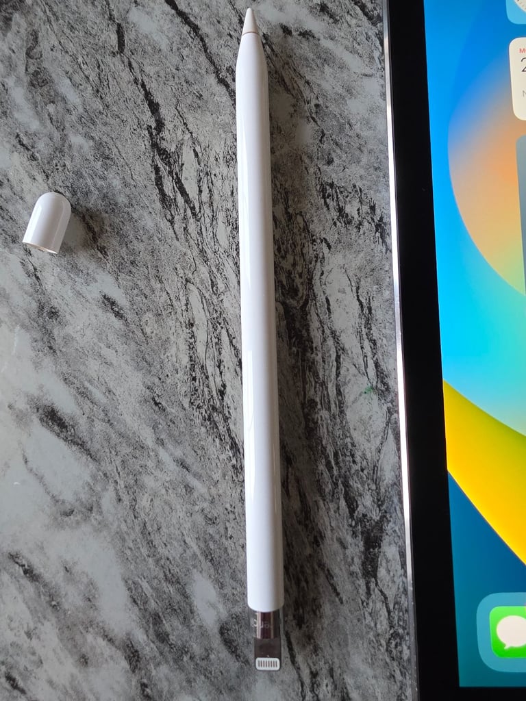 Ipad pro 1st generation 128gb 