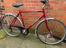 XL Raleigh adult hybrid bike in good working condition. 