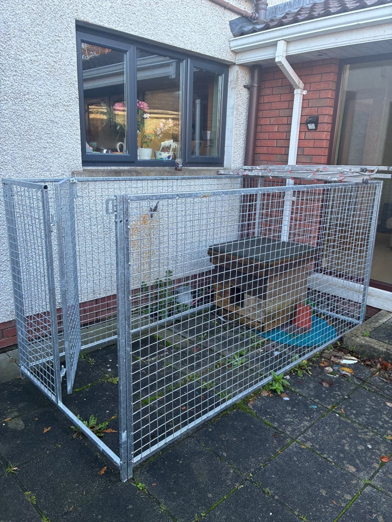 Dog pen (new)