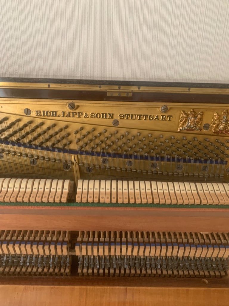 Rich d lipp and sohn Piano 