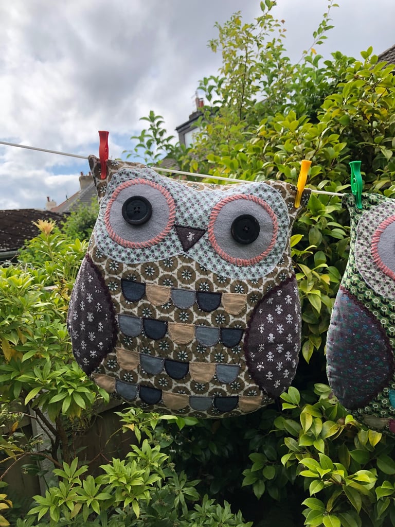 image for Two cute owl cushions 