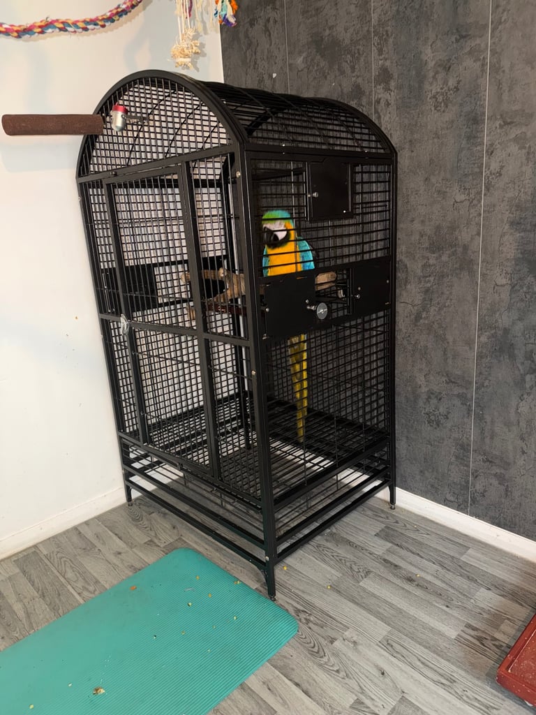 Parrot / Bird Cage 