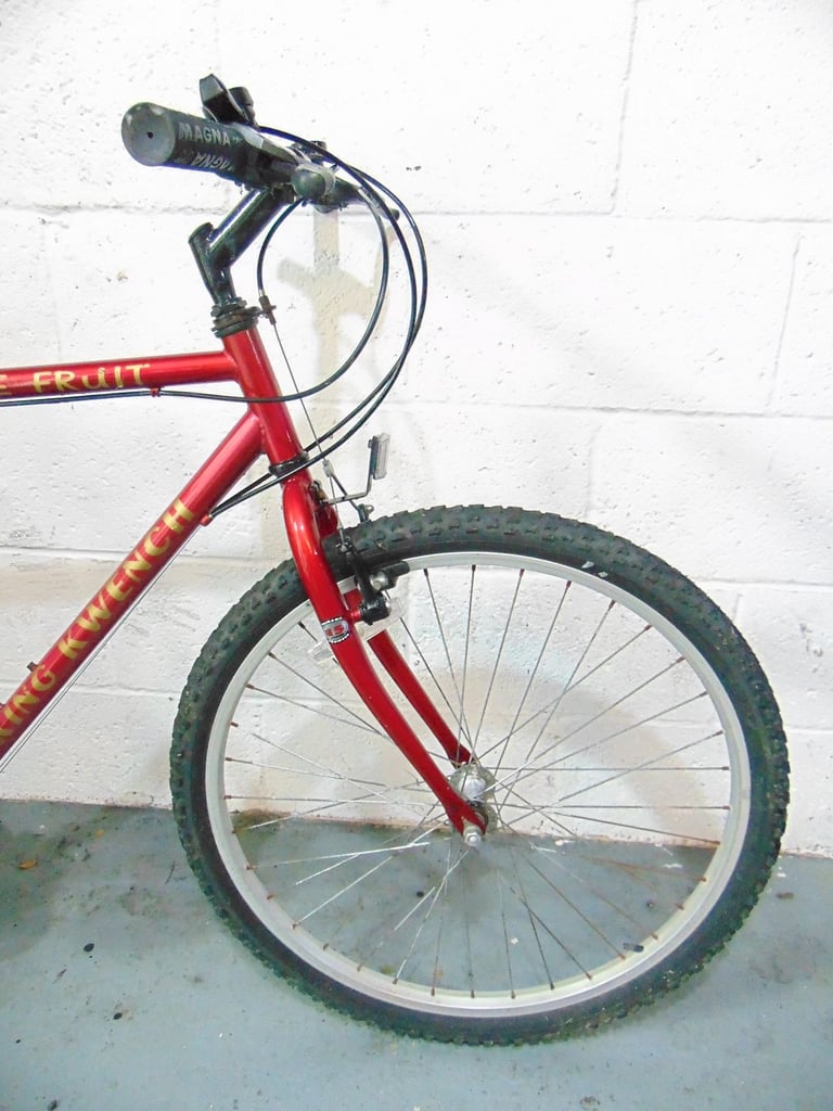 King Kwench (20.5 inch frame) Mountain Bike (free local delivery)