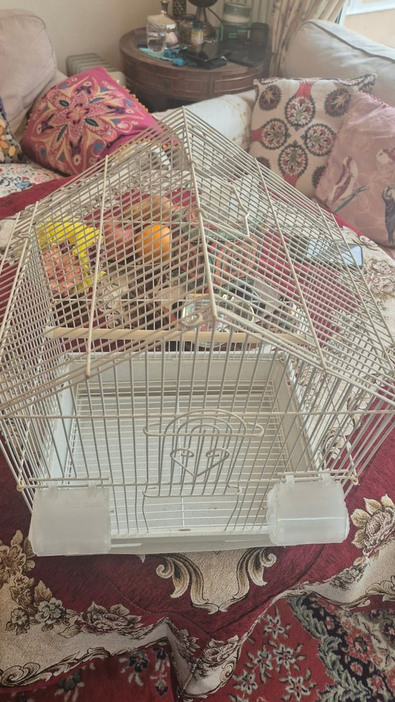 White Bird cage 