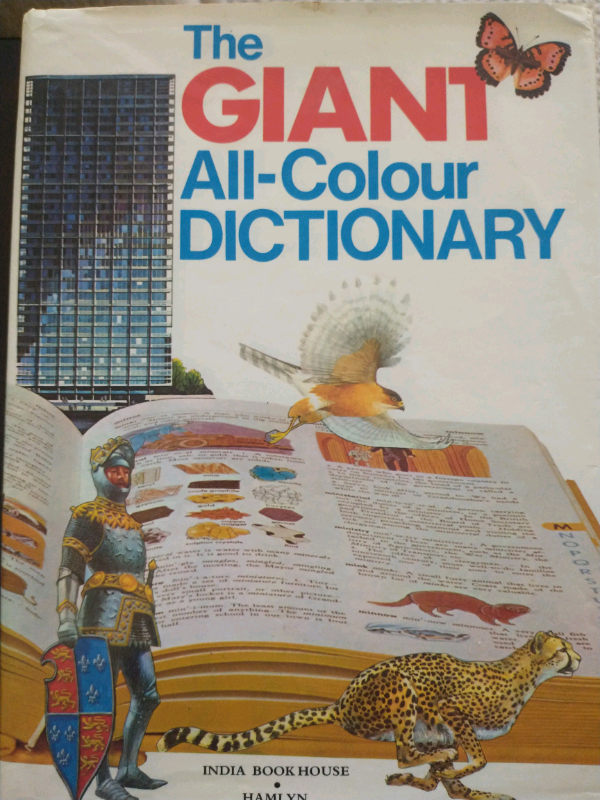 The Giant all colour dictionary 