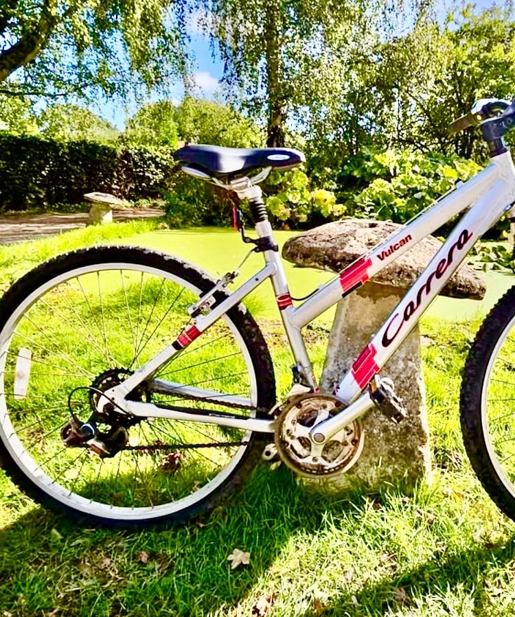 CARRERA 🏔QUALITY MOUNTAIN BIKE ❤️FREE DELIVERY 