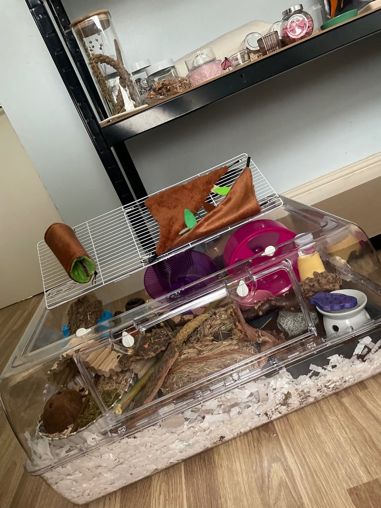 Pawhut hamster cage and lots of accessories for sale