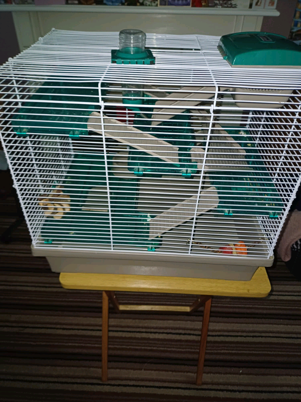 Eco pico best sale hamster cage