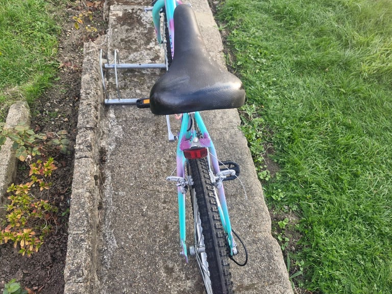 GIRLS TEENAGER YOUTH RALEIGH 24 INCH WHEELS 15 INCH FRAME 5 SPEED BIKE BICYCLE