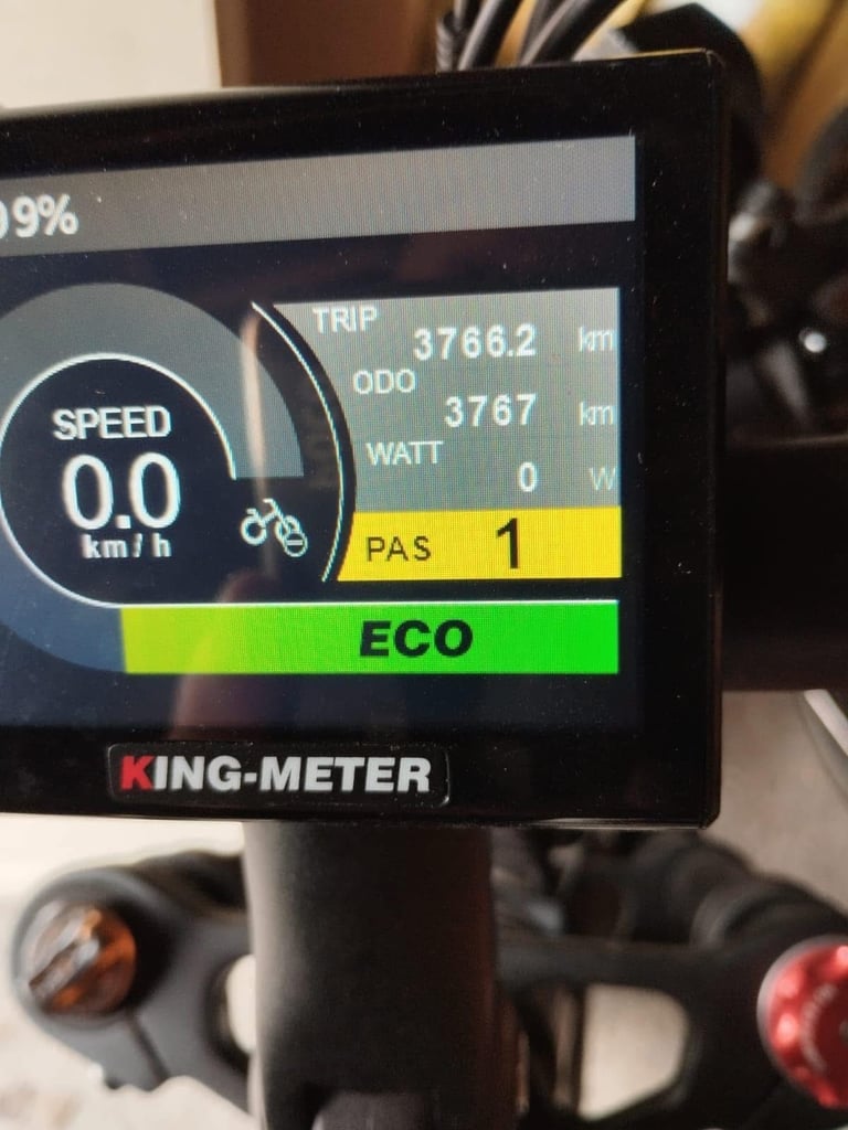 Electric bike