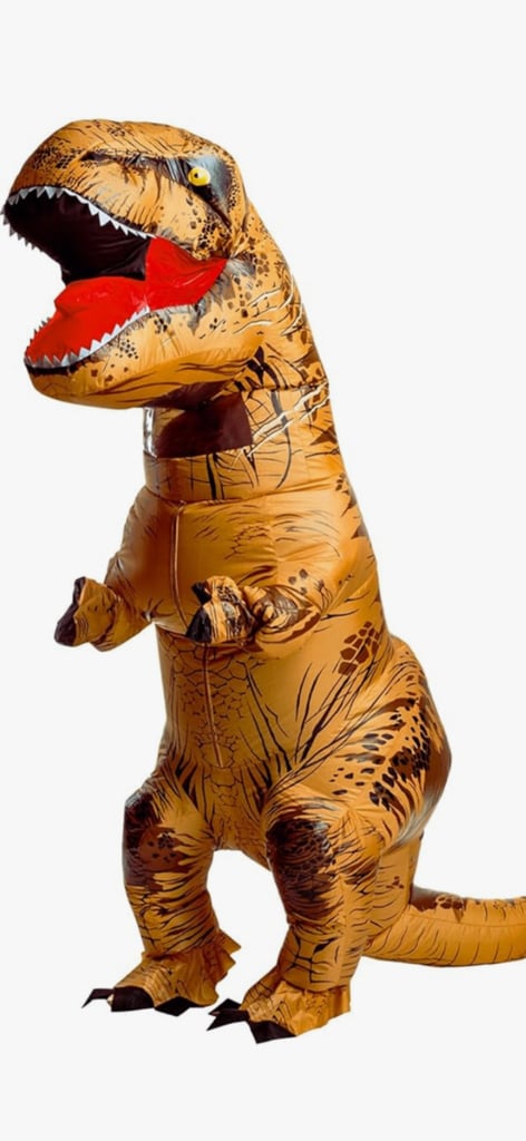 image for Dinosaur inflatable costume 