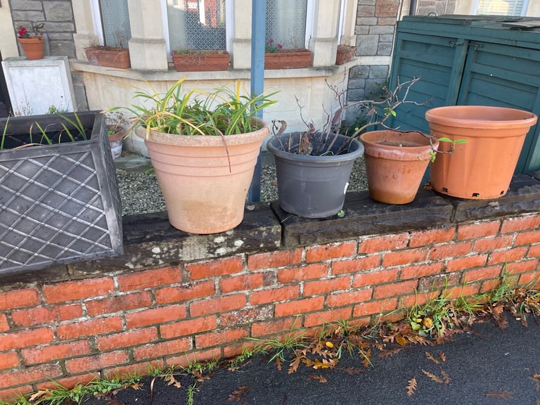 Free pots and compost