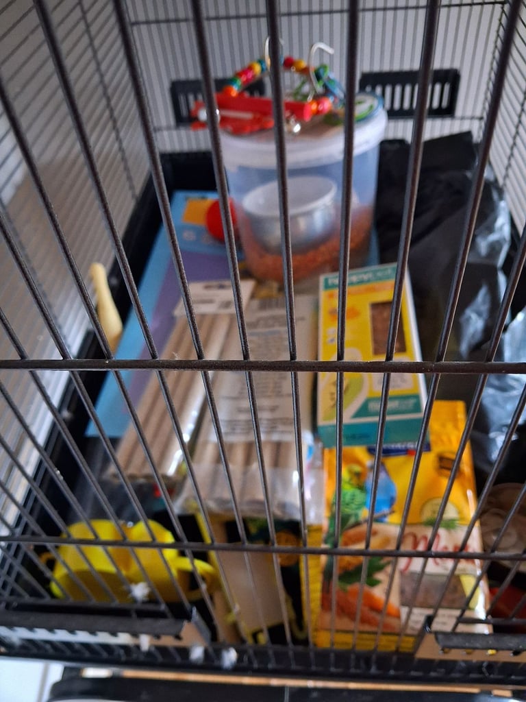 Bird cage with stand, foid,toys,treats,assessories 